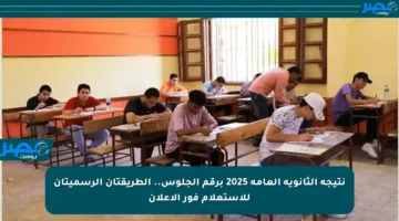 نتيجة الثانوية العامة 2025 برقم الجلوس.. الطريقتان الرسميتان للاستعلام فور الإعلان